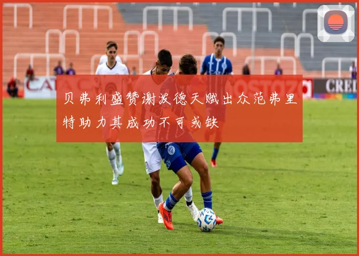 贝弗利盛赞谢泼德天赋出众范弗里特助力其成功不可或缺